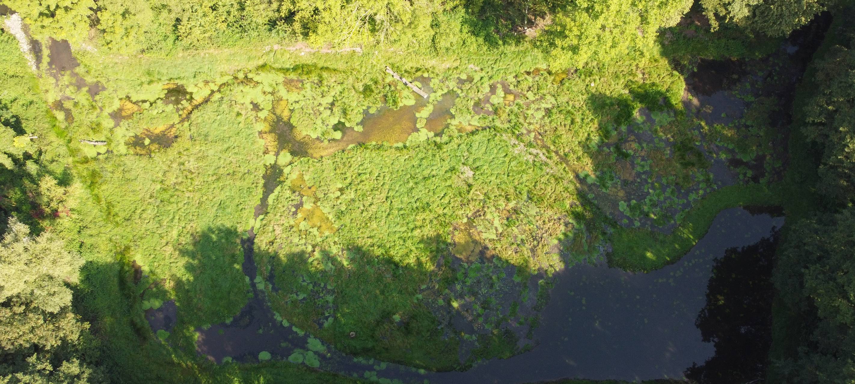 Verleihung "Blauer Kompass" - MG nominiert
