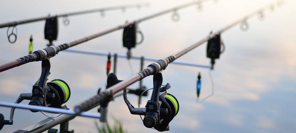 PETA zeigt Angelverein an