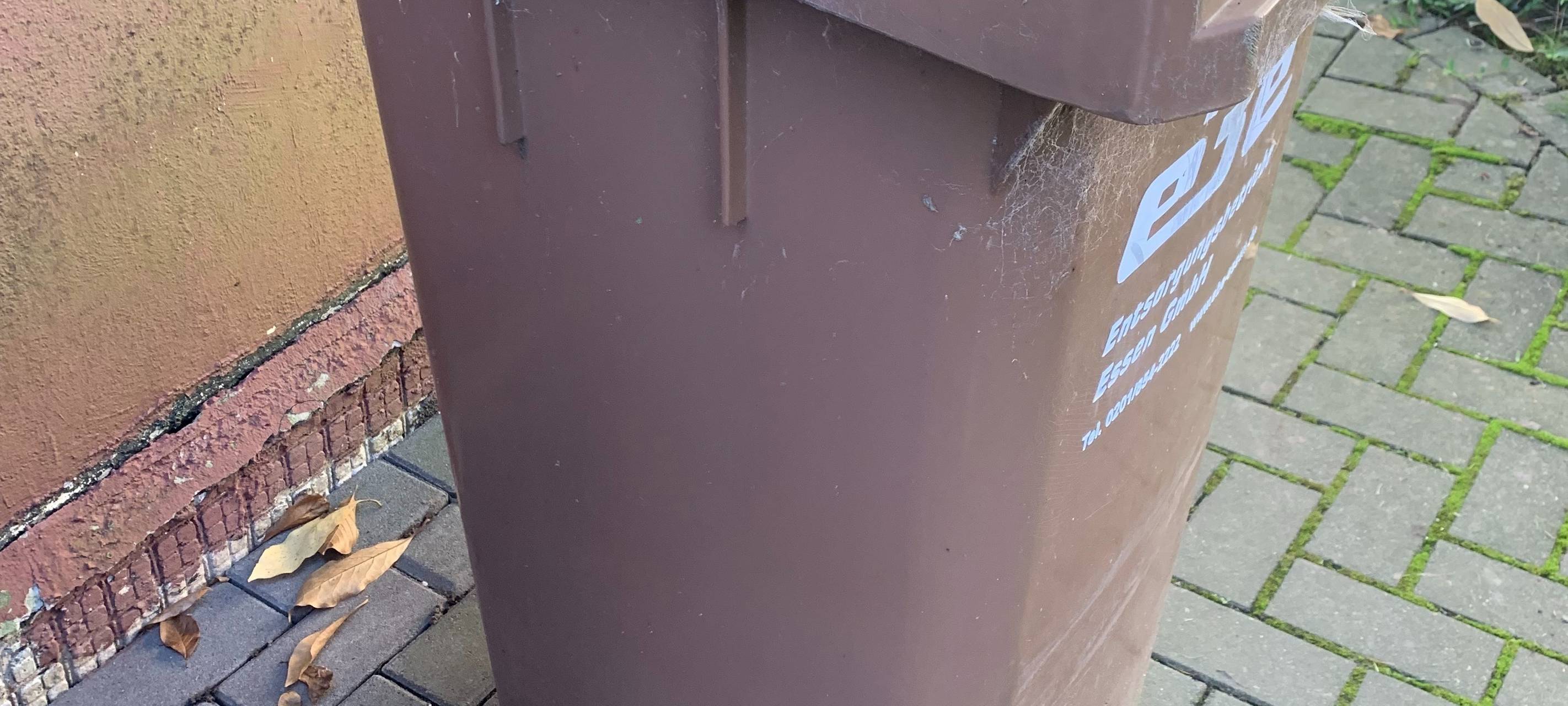 Änderungen ab Mai: Biotonne, Nachname, Passfotos