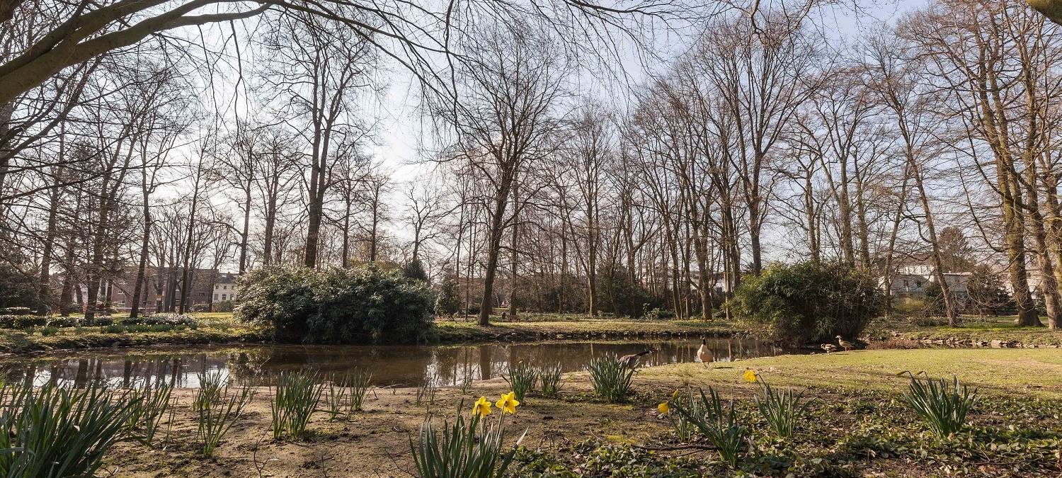 Gewässer des Schmölderparks wird entschlammt