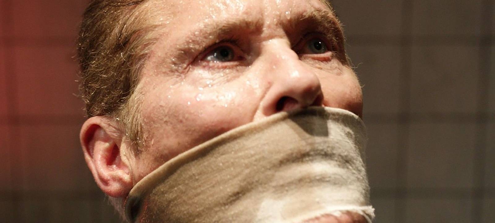 The Hoff wurde entführt.