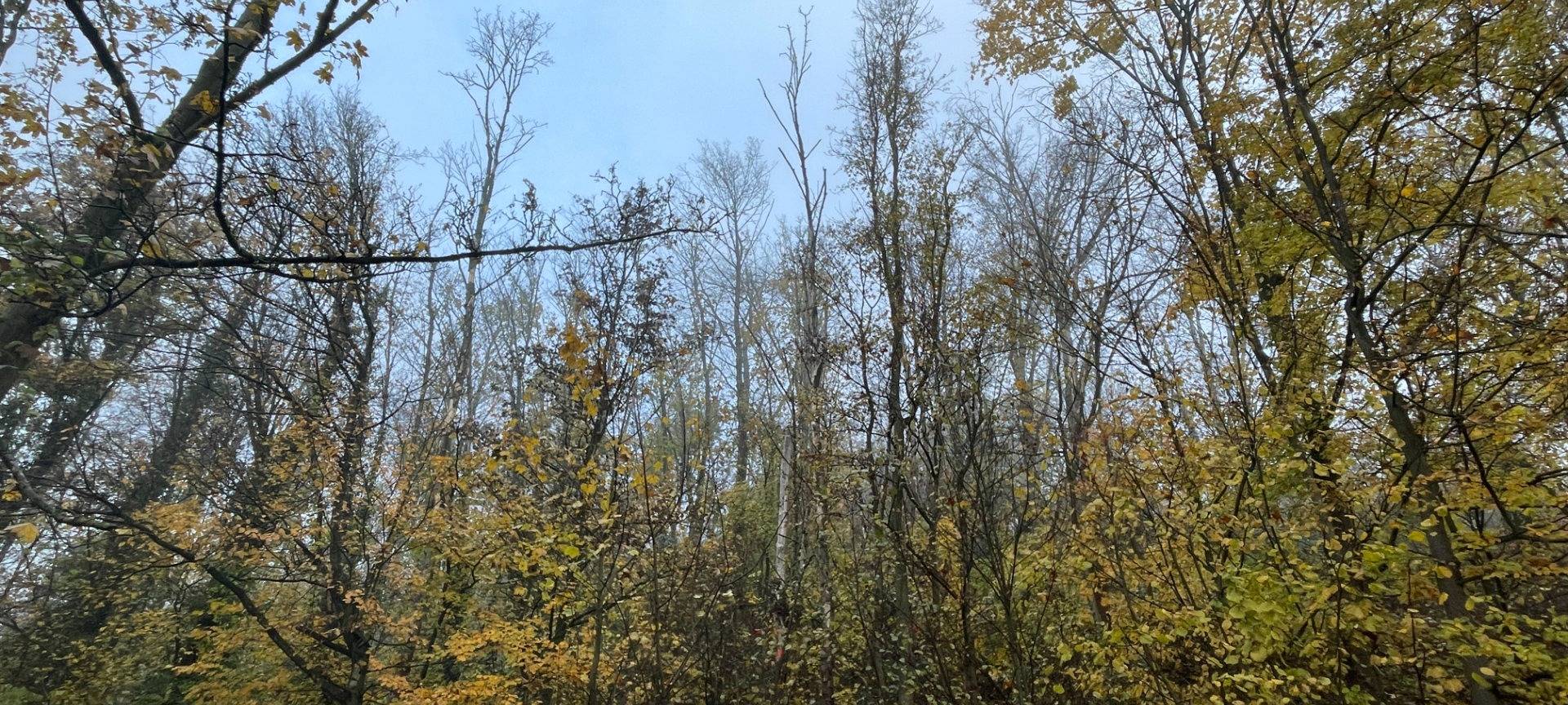 Die mags zieht Jahresbilanz