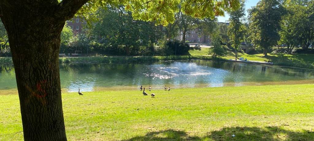 Geropark eröffnet heute