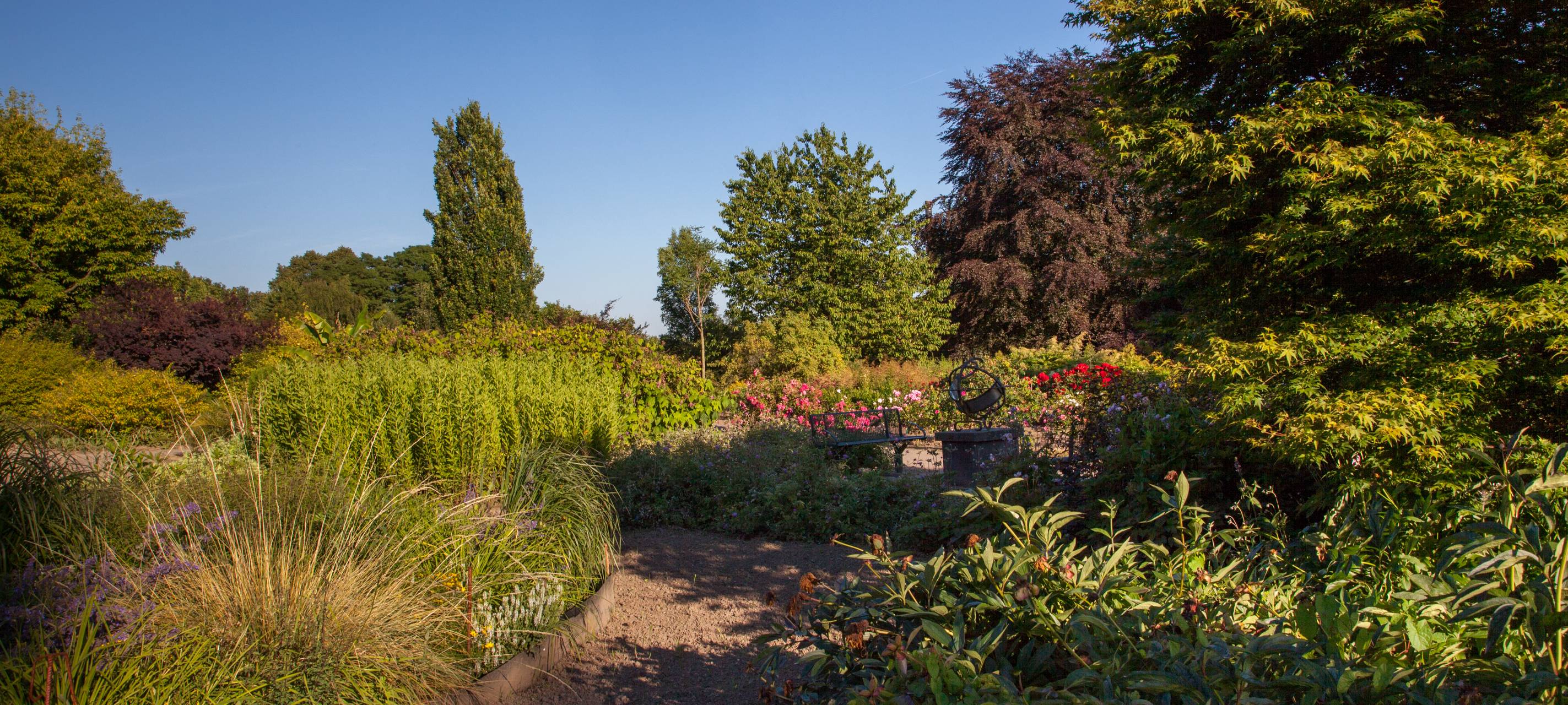 NABU ruft auf, Insekten zu zählen