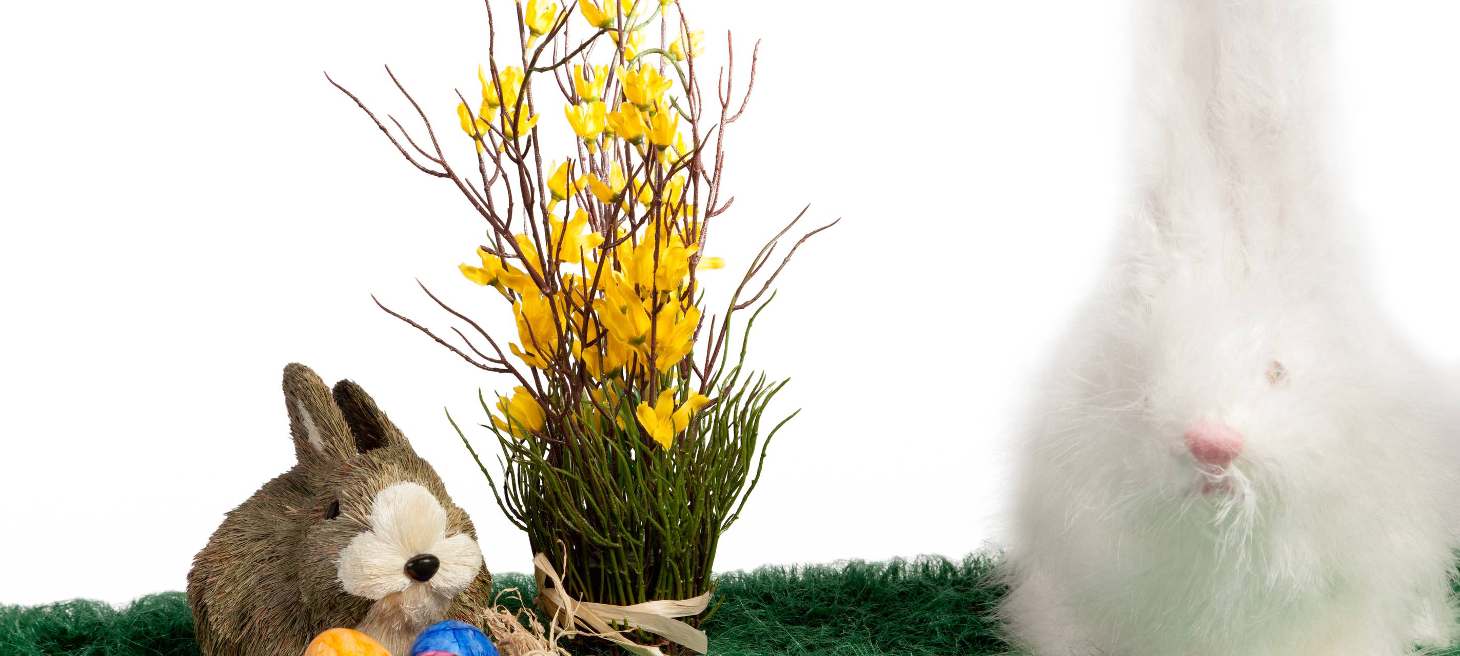 Der Radio 90,1 Oster-Countdown