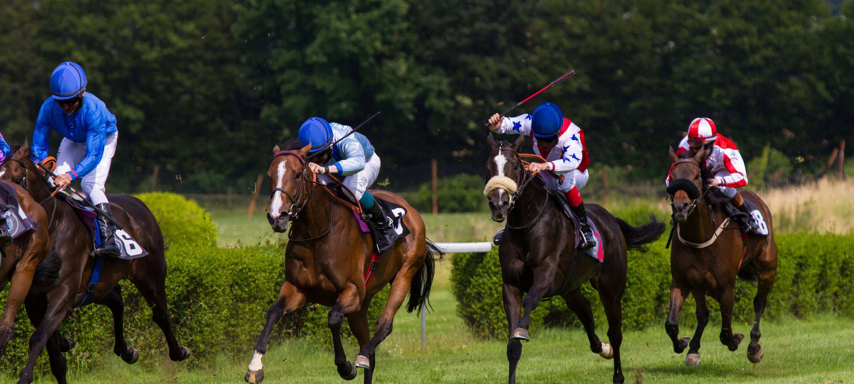 Renntag und Wiedereröffnung auf der Trabrennbahn