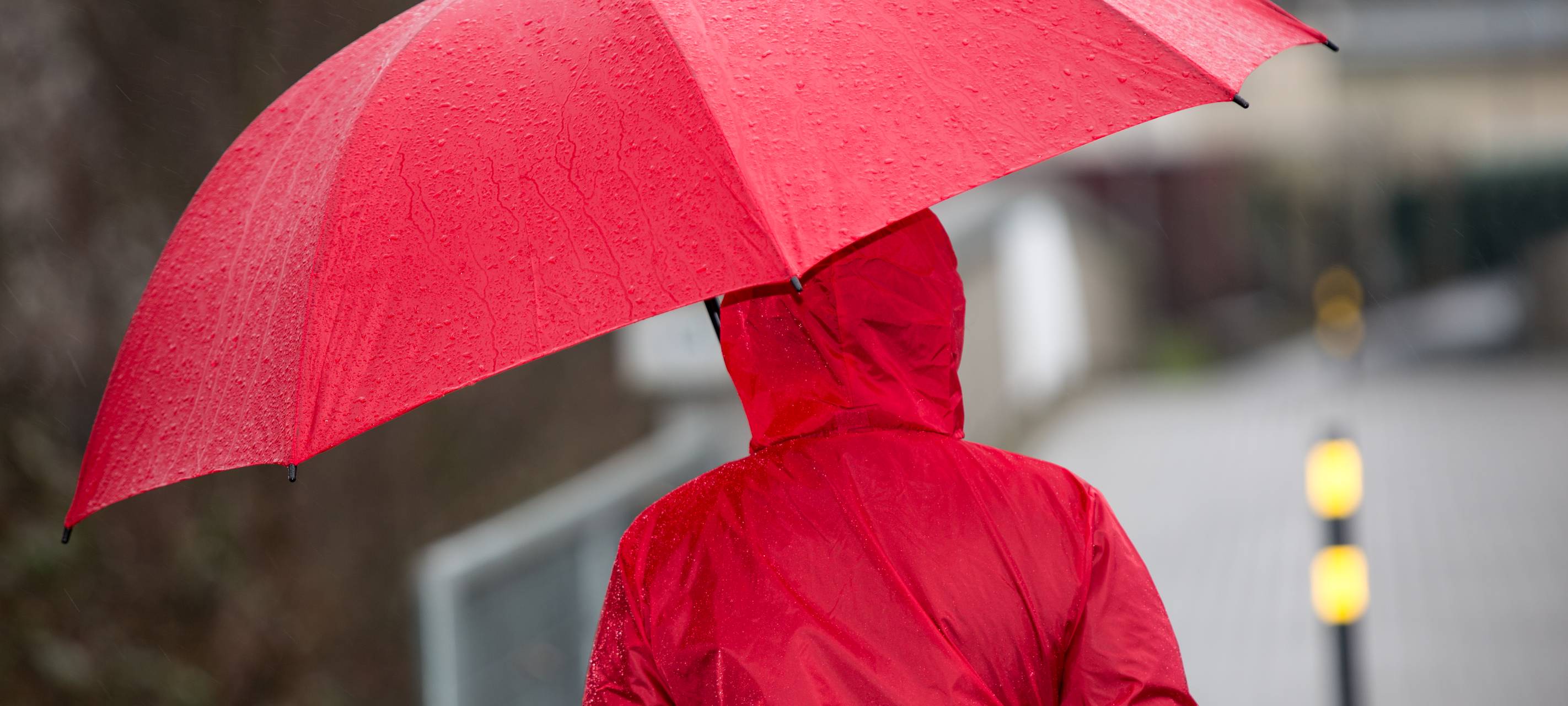Regenreiches Jahr 2023