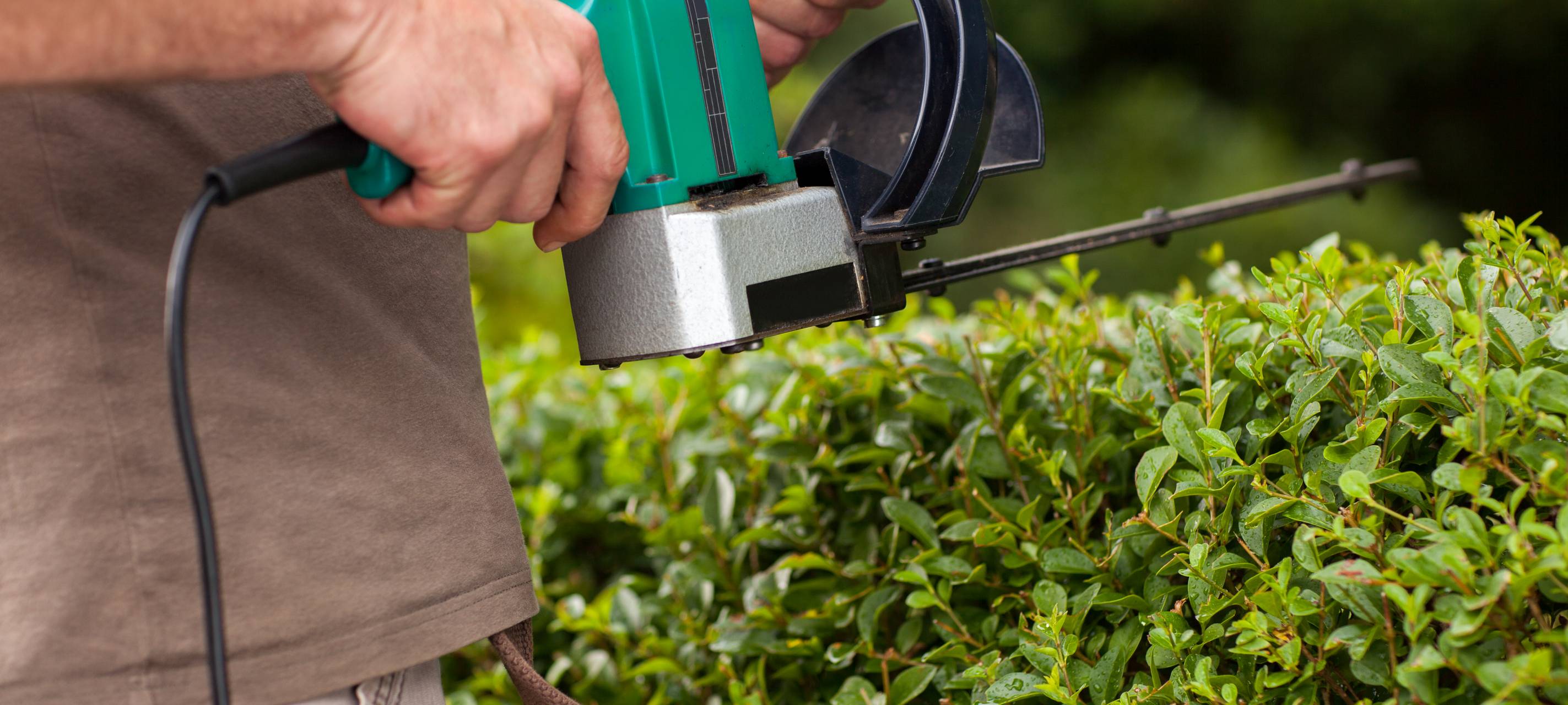 Vogelbrutzeit zu Ende: Hecken- und Baumschnitt möglich