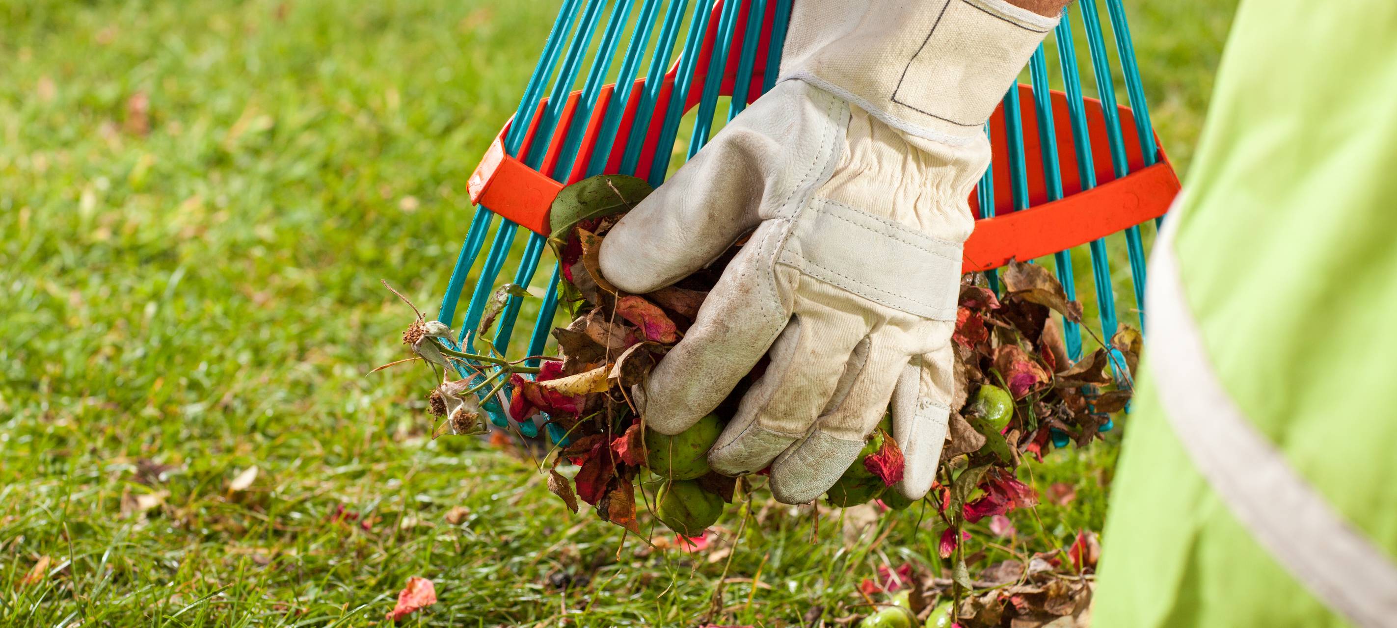 Laub auf der Straße - Wann muss ich es wegräumen?