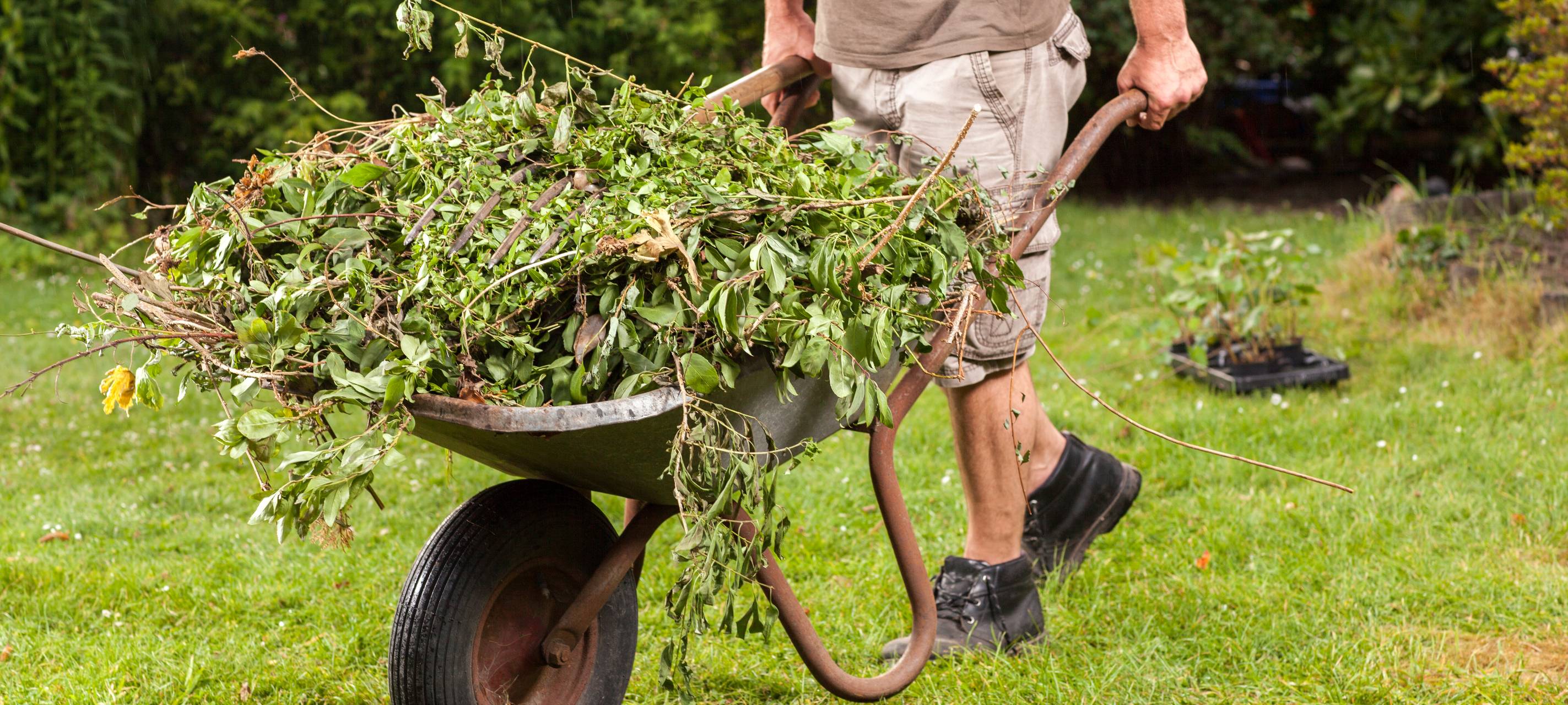 Garten- und Landschaftsbauer bekommen mehr