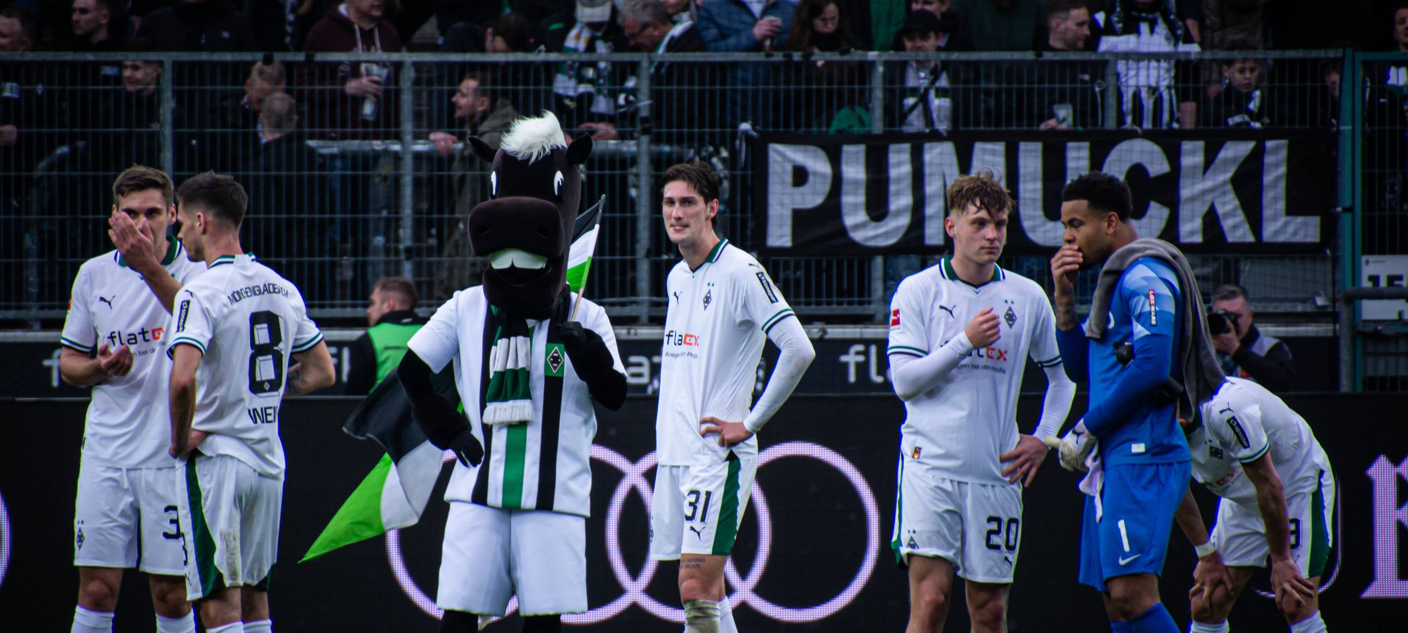 Fußball aus nächster Nähe sehen