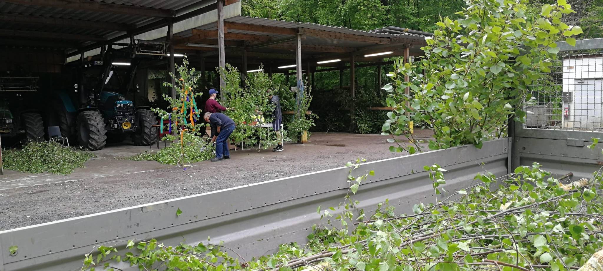 Maibaumverkauf im Hardter Wald