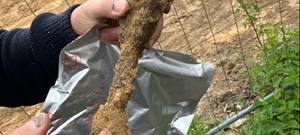 Gewehrgranate in Wickrath kontrolliert gesprengt