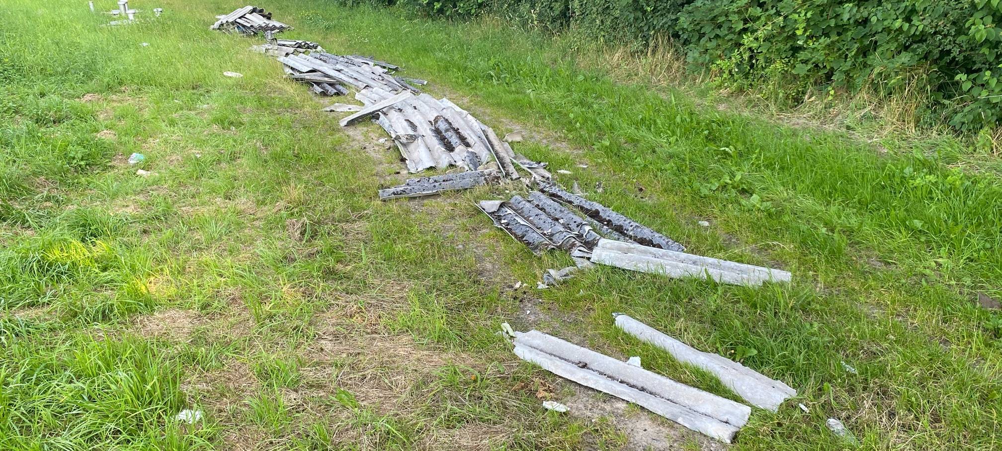 Kripo und mags suchen Umweltsünder