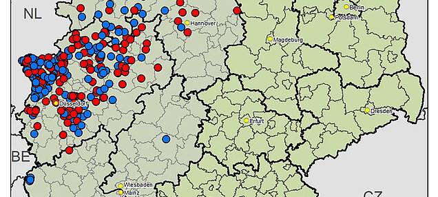 Blauzungenkrankheit breitet sich aus
