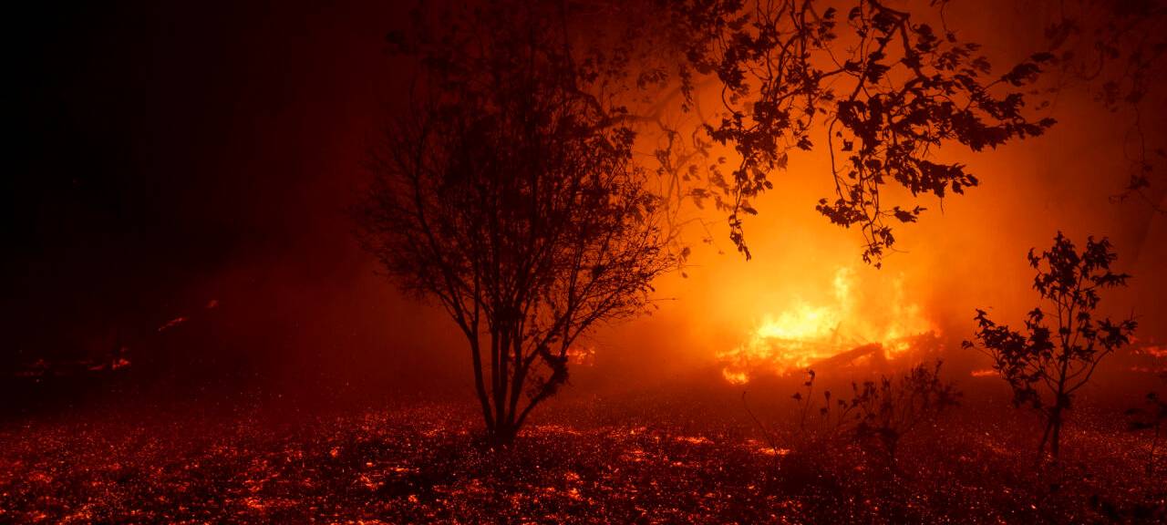 Der Waldbrand "Franklin Fire" hat ein Haus in Flammen gesetzt.