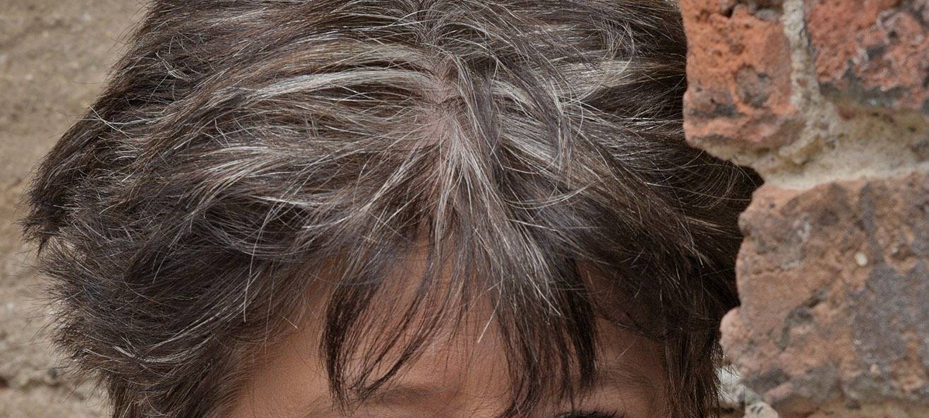 Comedy Camp - Die Tour