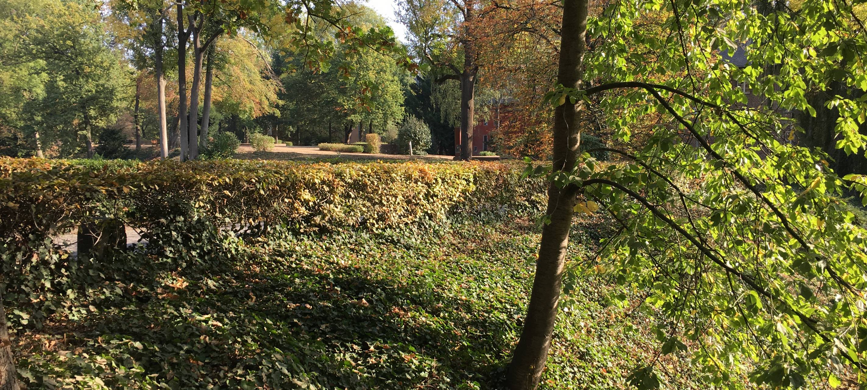Schloss Rheydt im Grünen