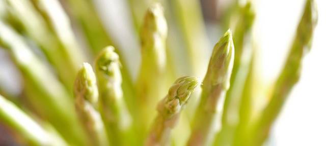 Marktgeflüster: Die Stadt neu erschmecken
