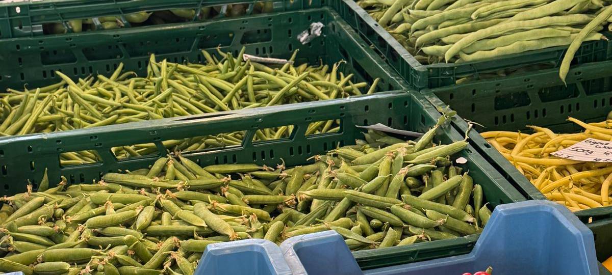 Marktgeflüster: Die Stadt neu erschmecken
