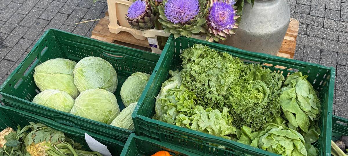 Marktgeflüster: Eicken neu Erschmecken