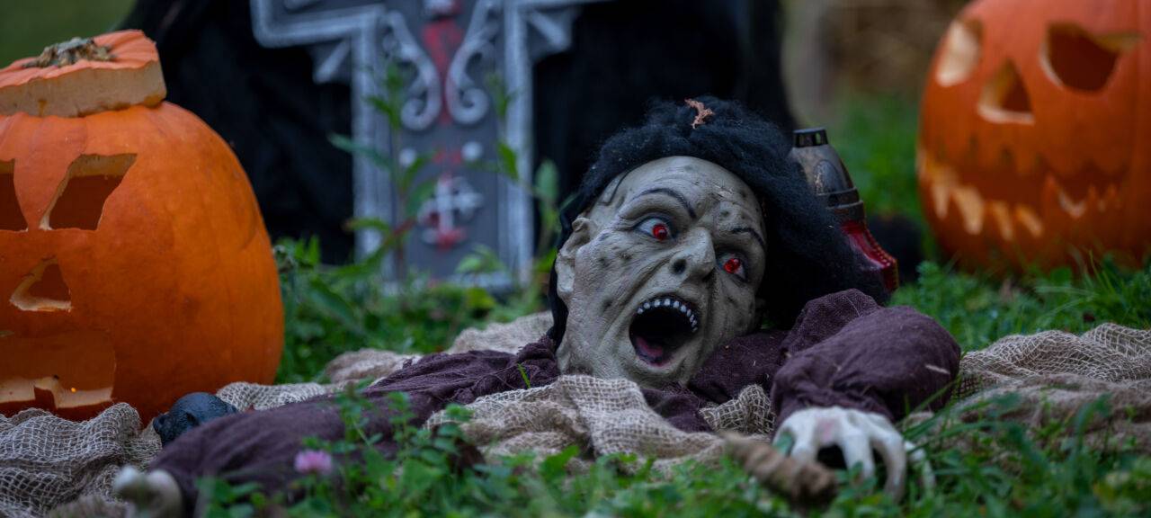 Eine Halloween-Figur scheint zwischen Kürbissen aus der Erde emporzukriechen.