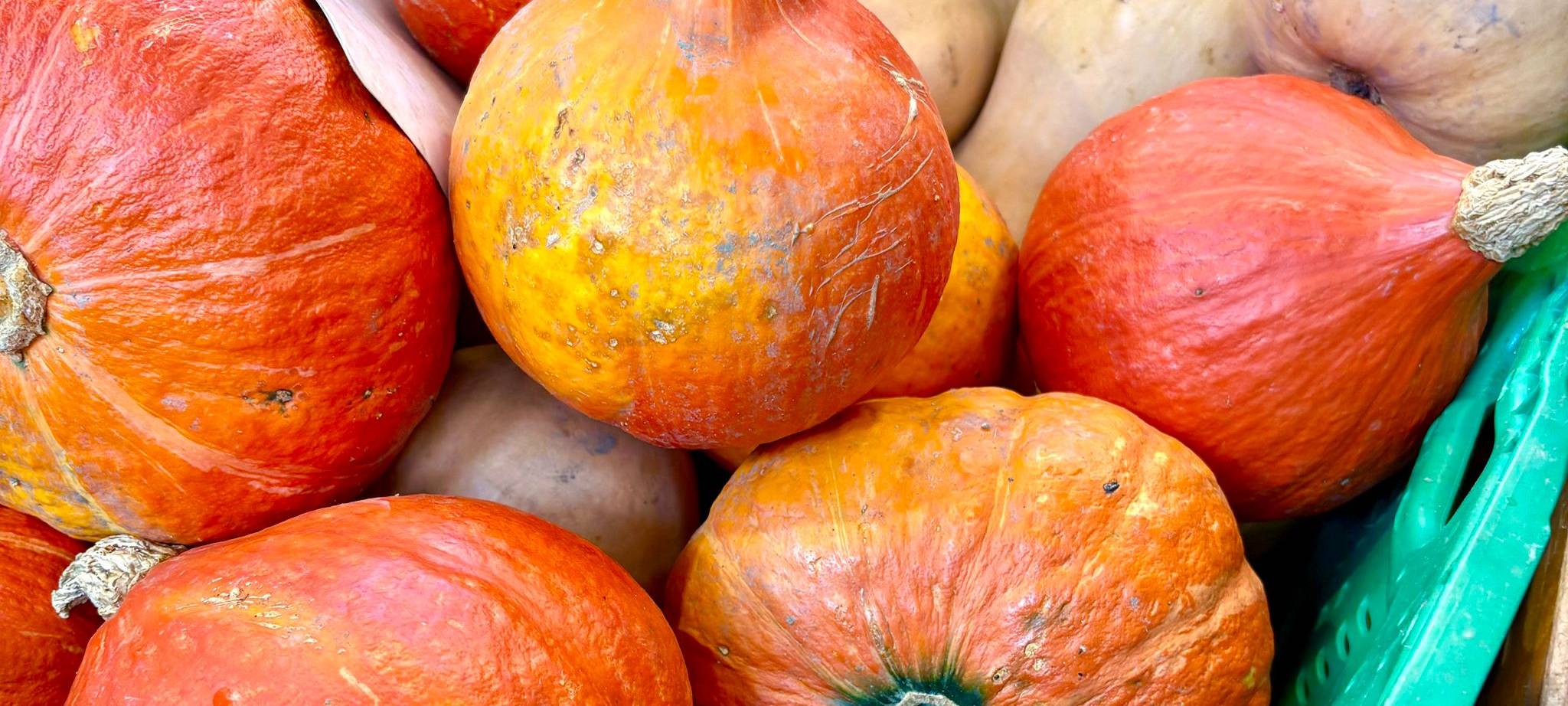 Marktgeflüster: Wickrath neu erschmecken