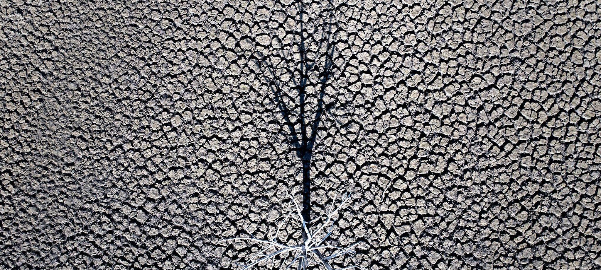 EU setzt sich neues Ziel für den Klimaschutz