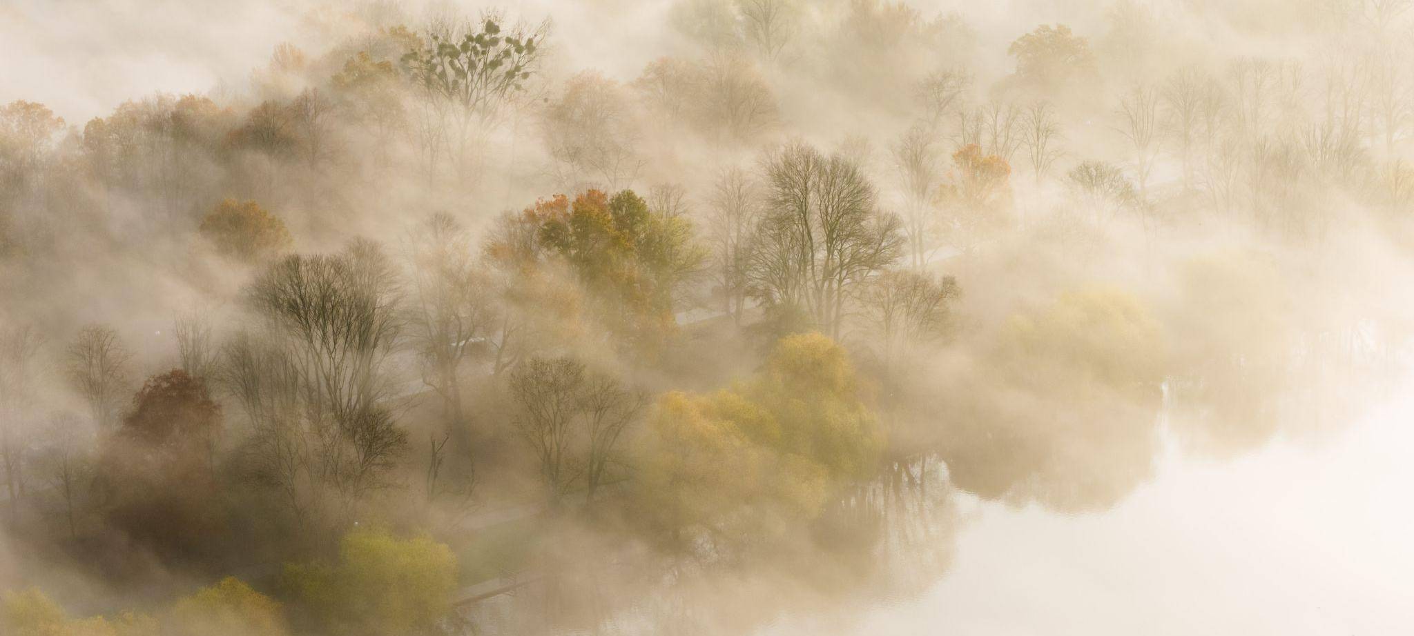 Nebelfelder liegen zwischen Bäumen am Maschsee