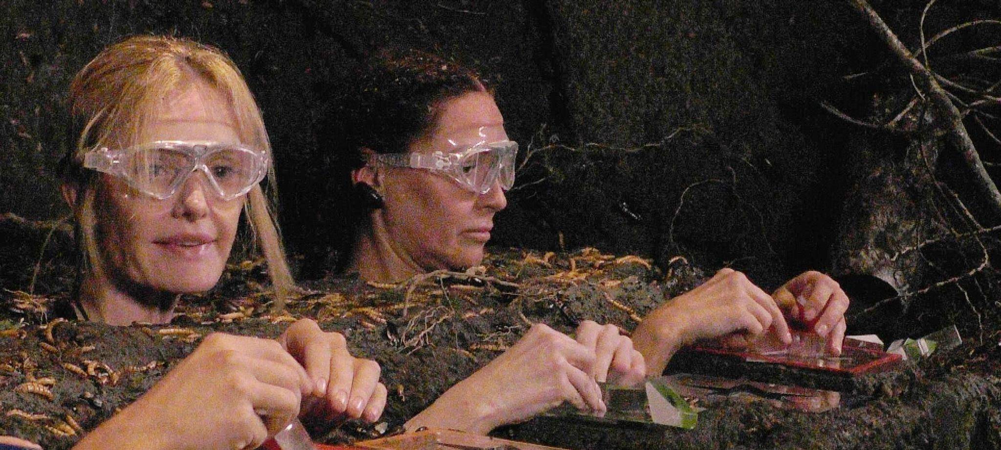 Ich bin ein Star - Holt mich hier raus! - Tag 9