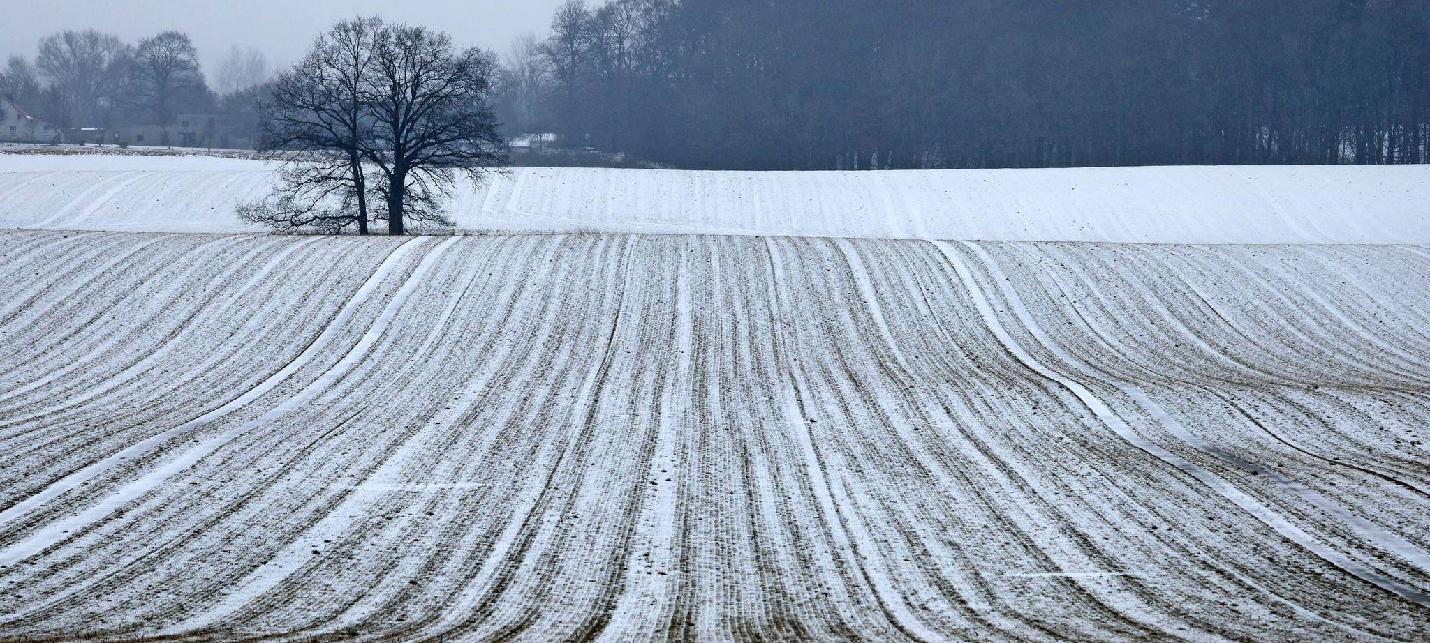 Winterwetter in Norddeutschland