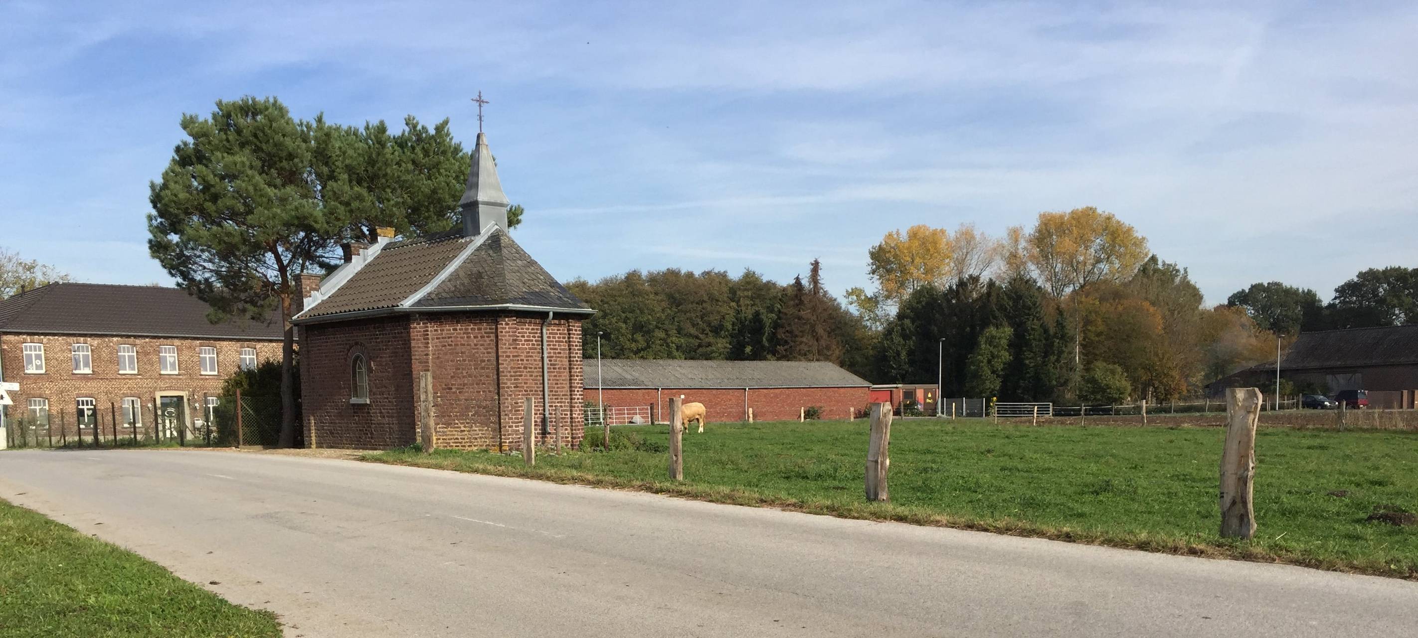 Bio-Höfe in der Region öffnen ihre Tore
