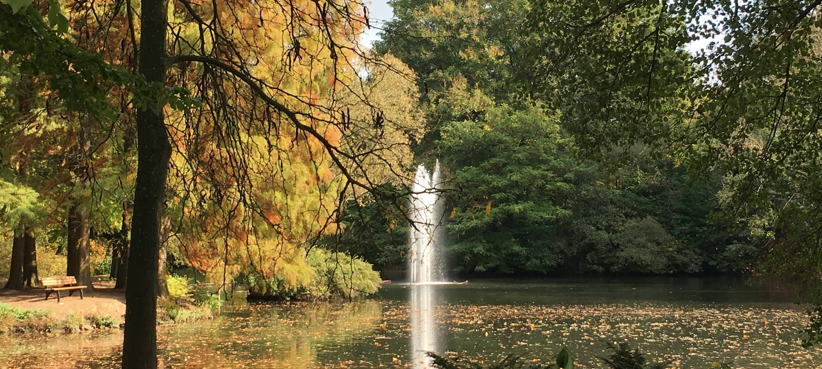 Forstarbeiten im Elschenbruch
