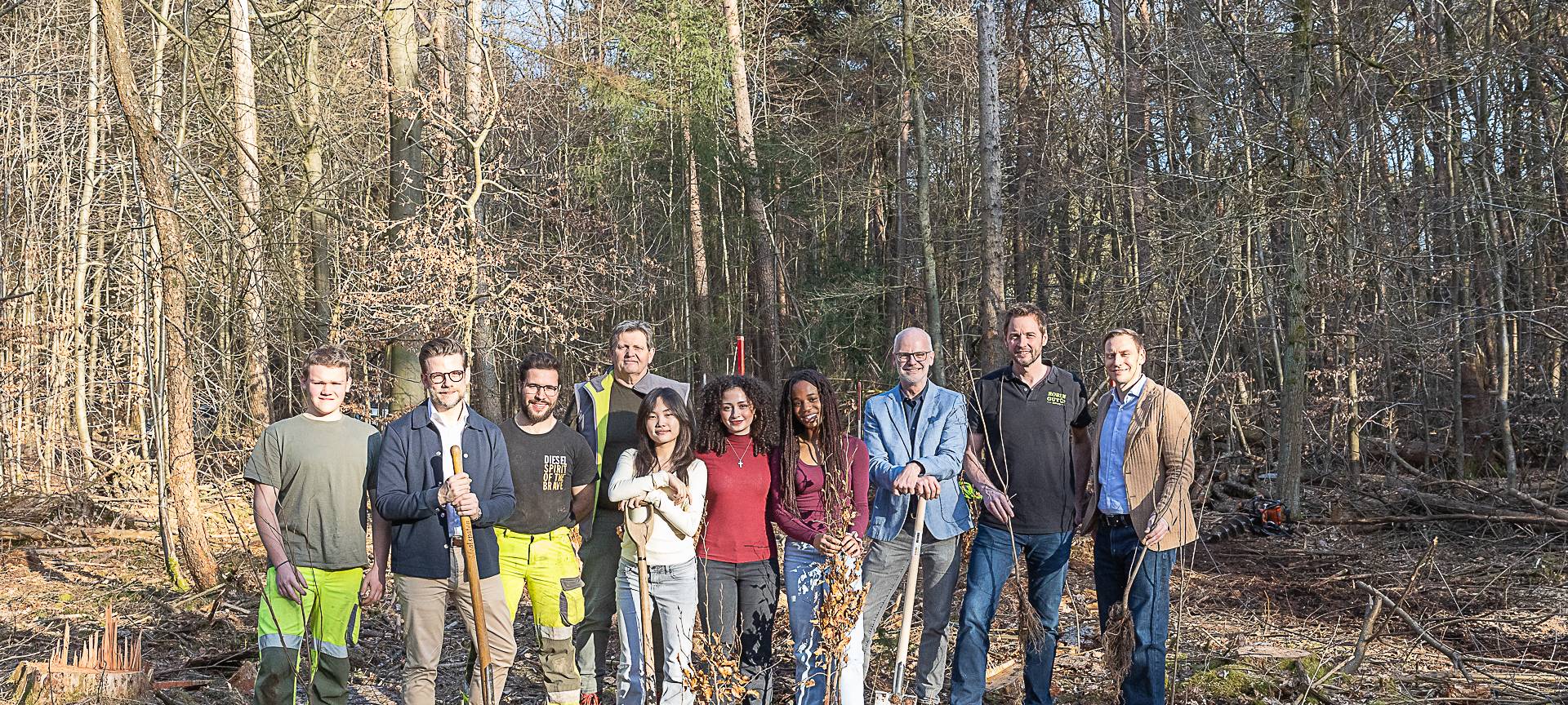 NRWs größte Aufforstung: Start im Hardter Wald