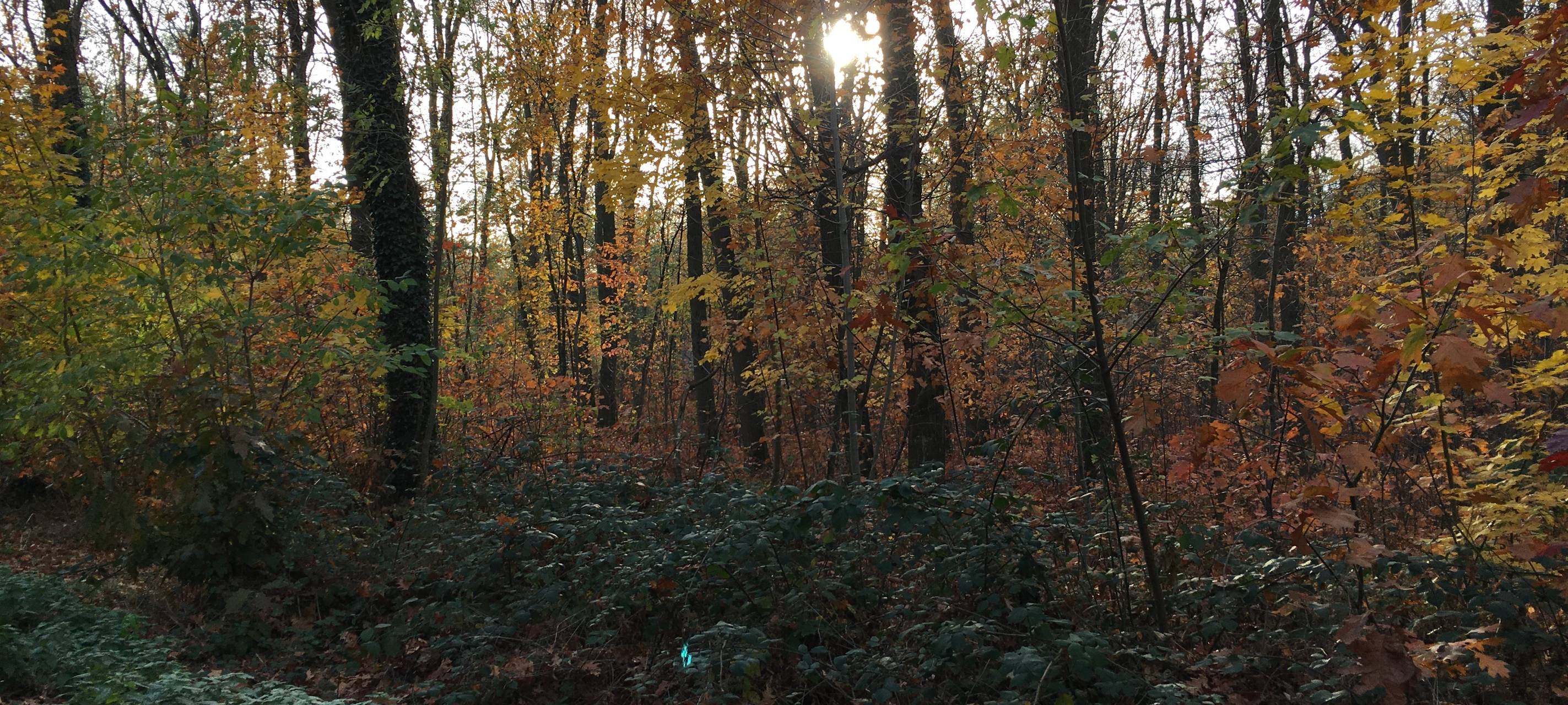 Viele junge Mönchengladbacher wollen Jäger werden