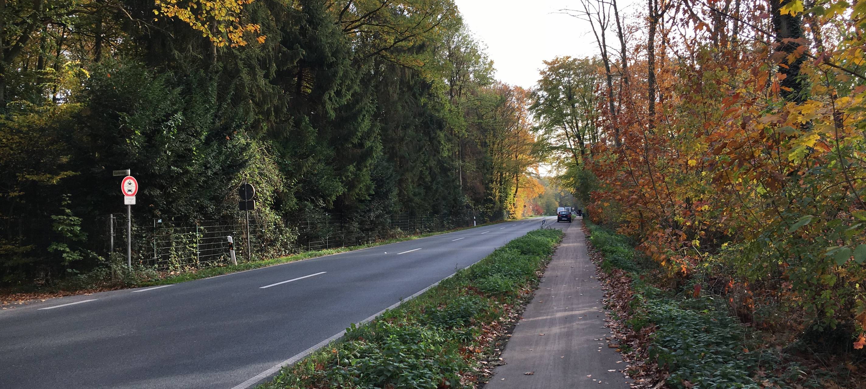 Herbstwarnung des ADAC
