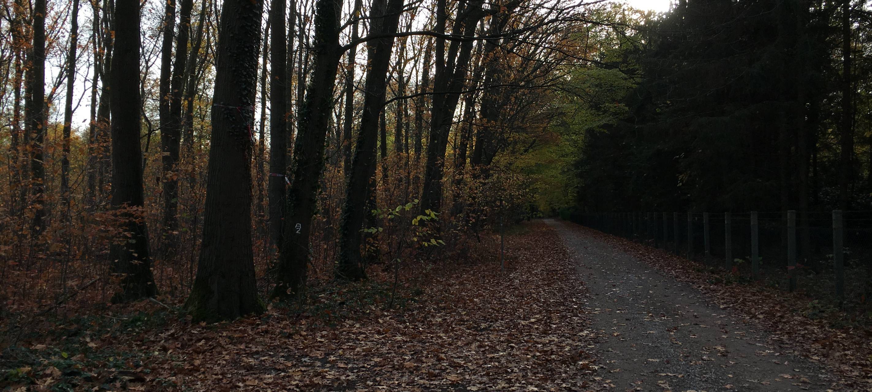 Tierseuchen-Übung im Hardter Wald