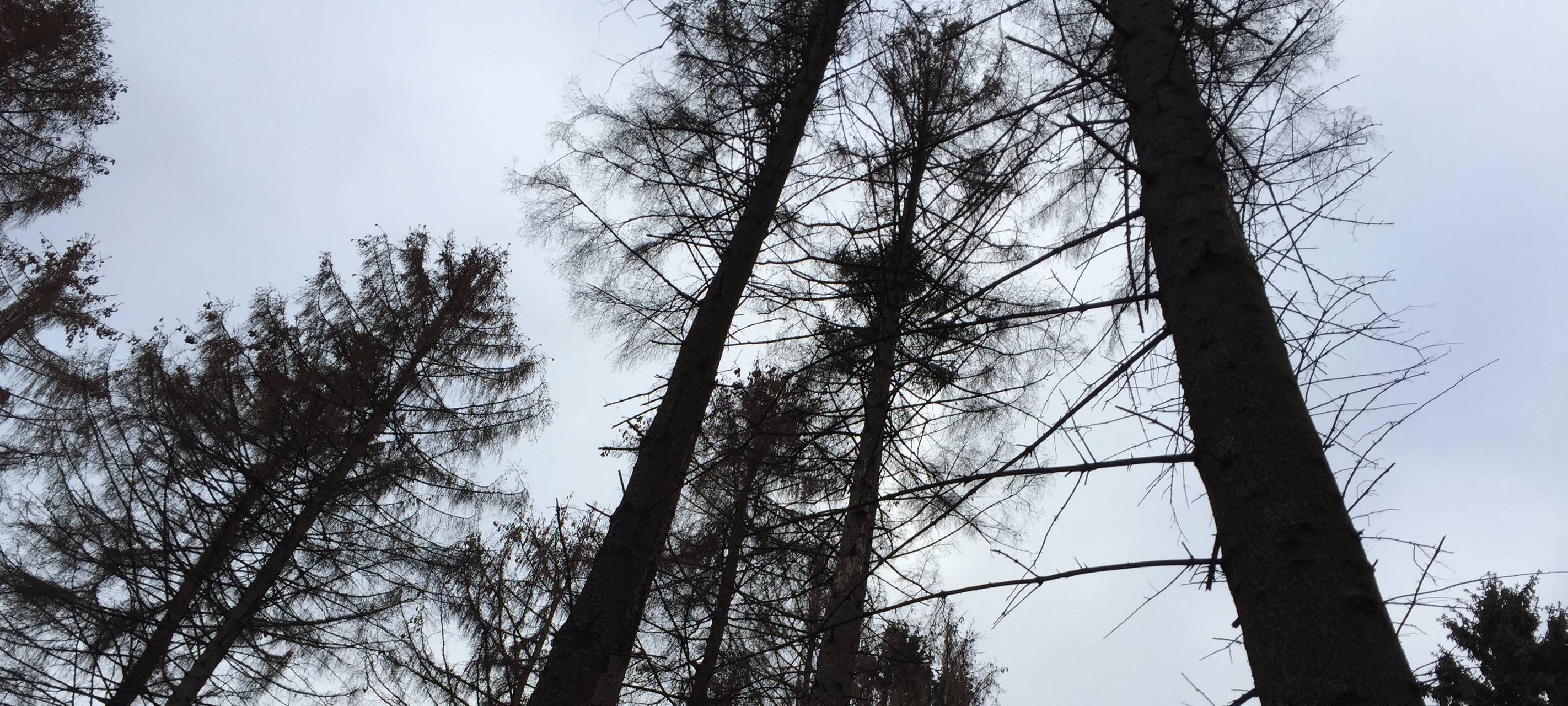 Mehr Naturschutzgebiete in Mönchengladbach