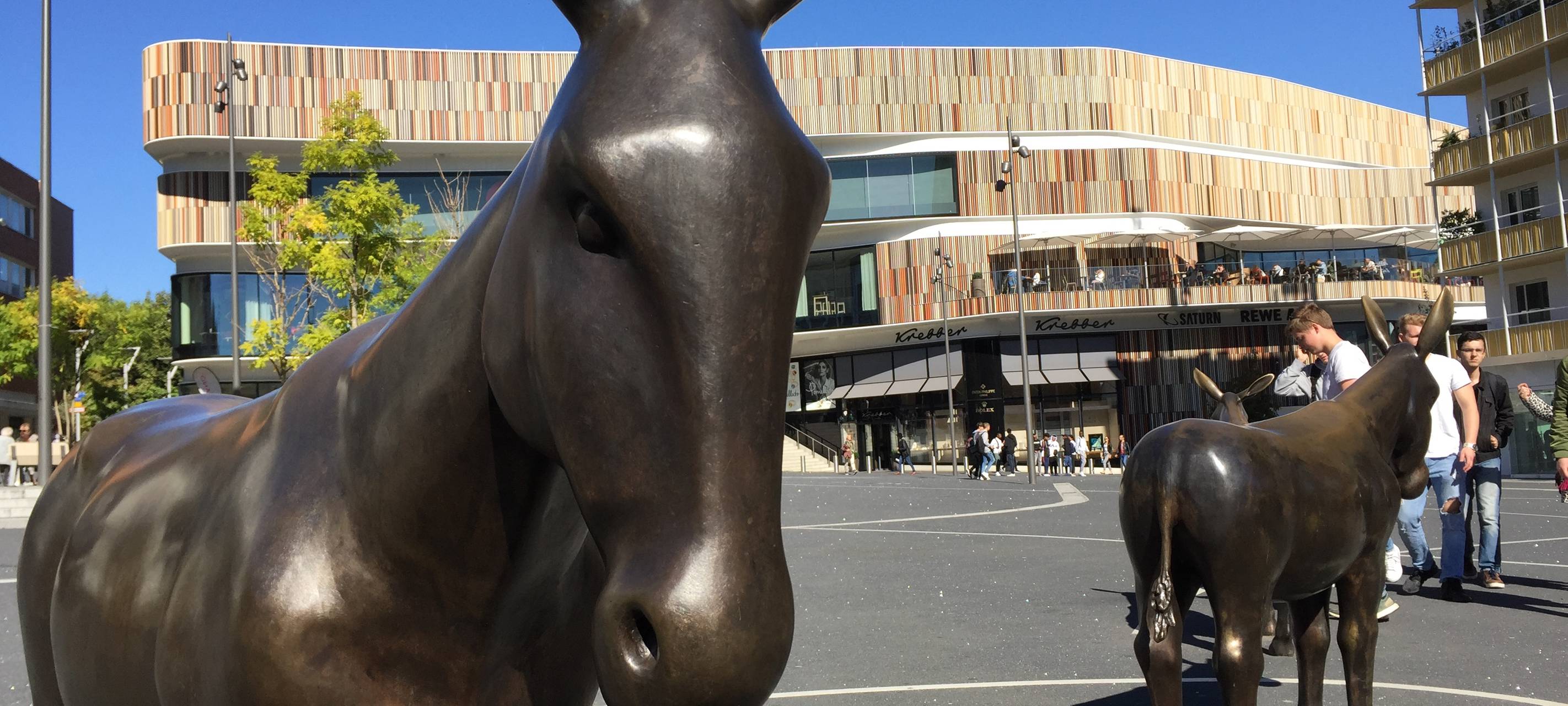 Aktionstag für seelische Gesundheit in der Innenstadt