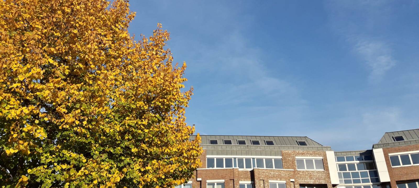 Das neue radio901.de