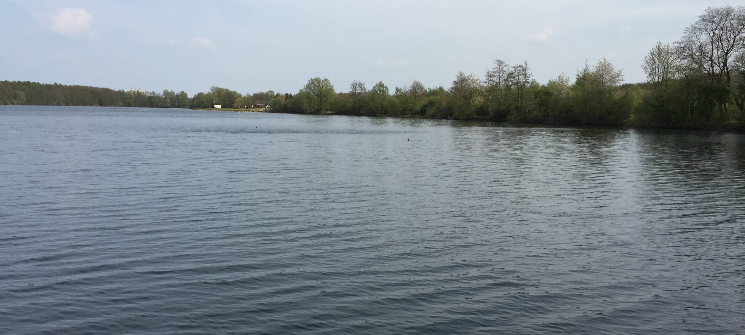 DLRG mit Sommerbilanz: Badetote in NRW