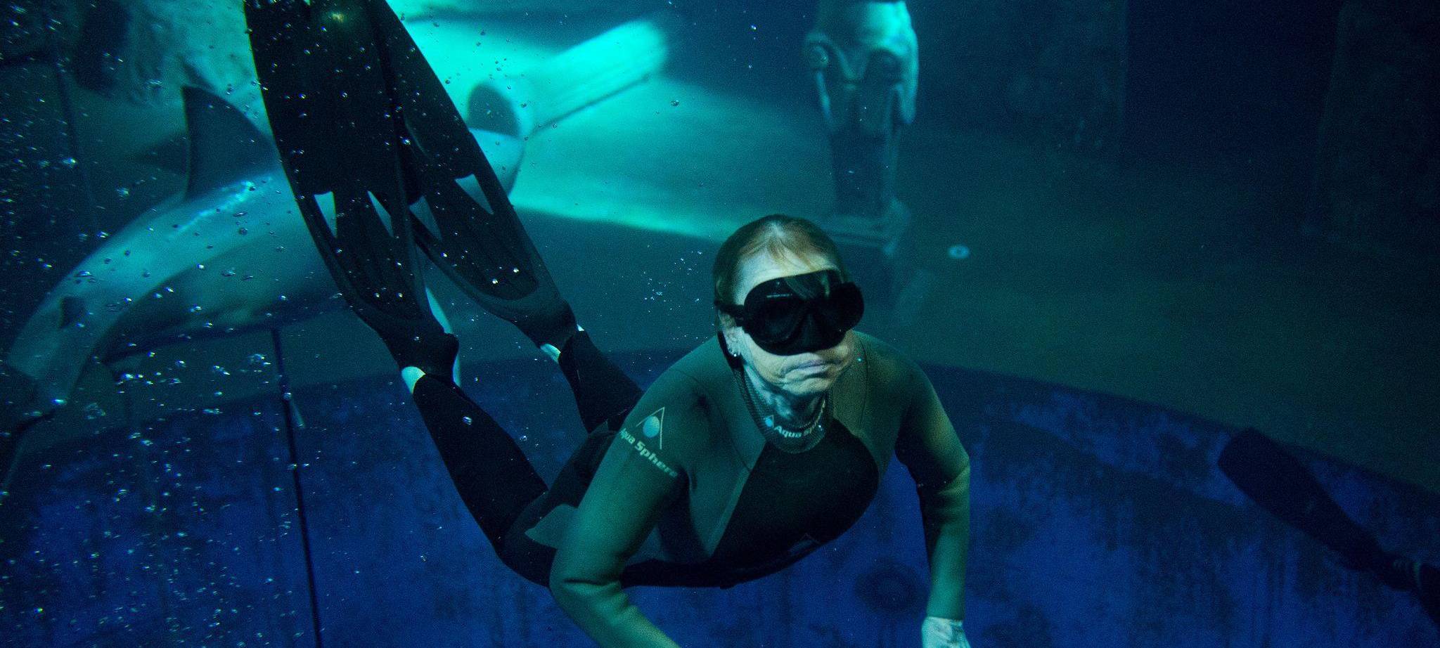 Freitauchen