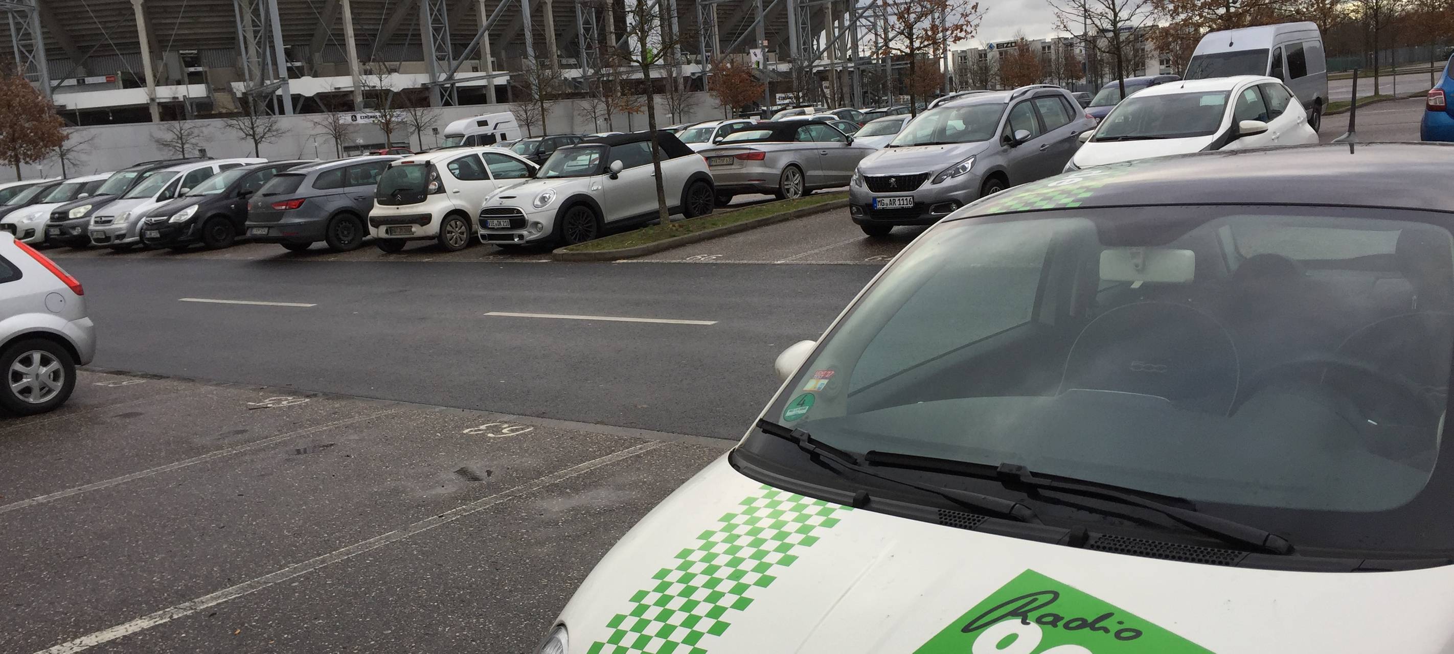Fohlen beim BVB zu Gast