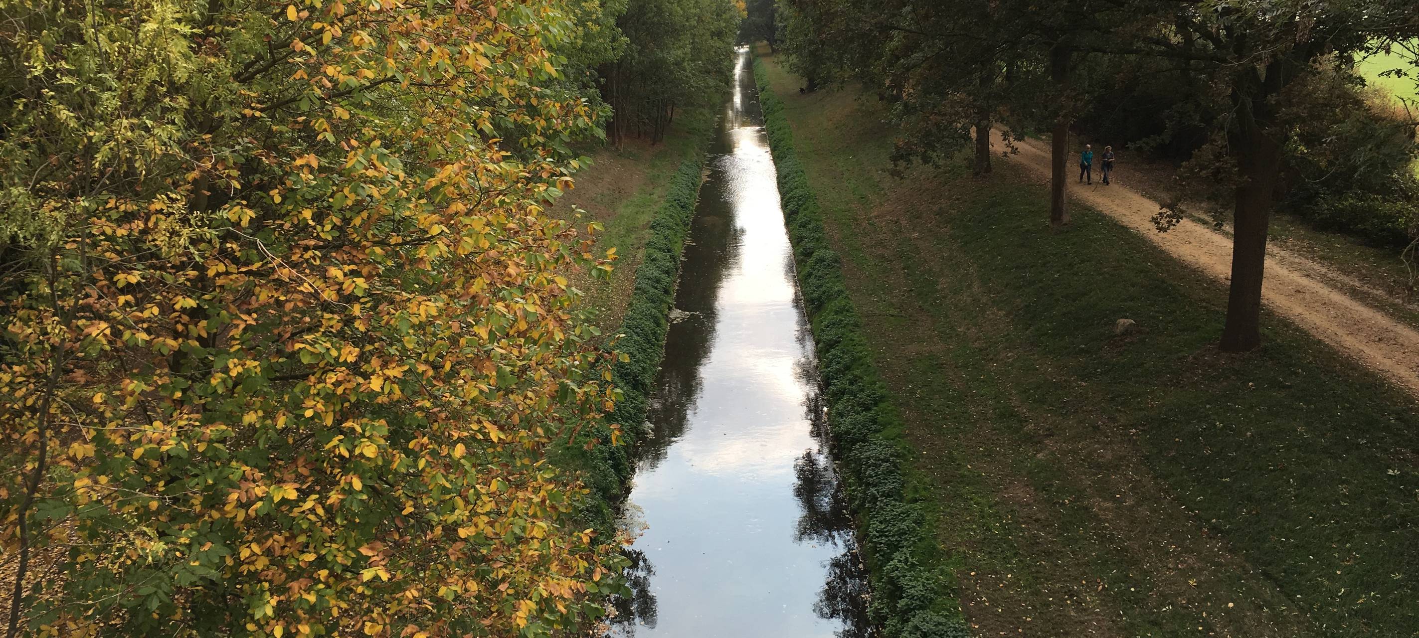 Linke fordern besseren Schutz