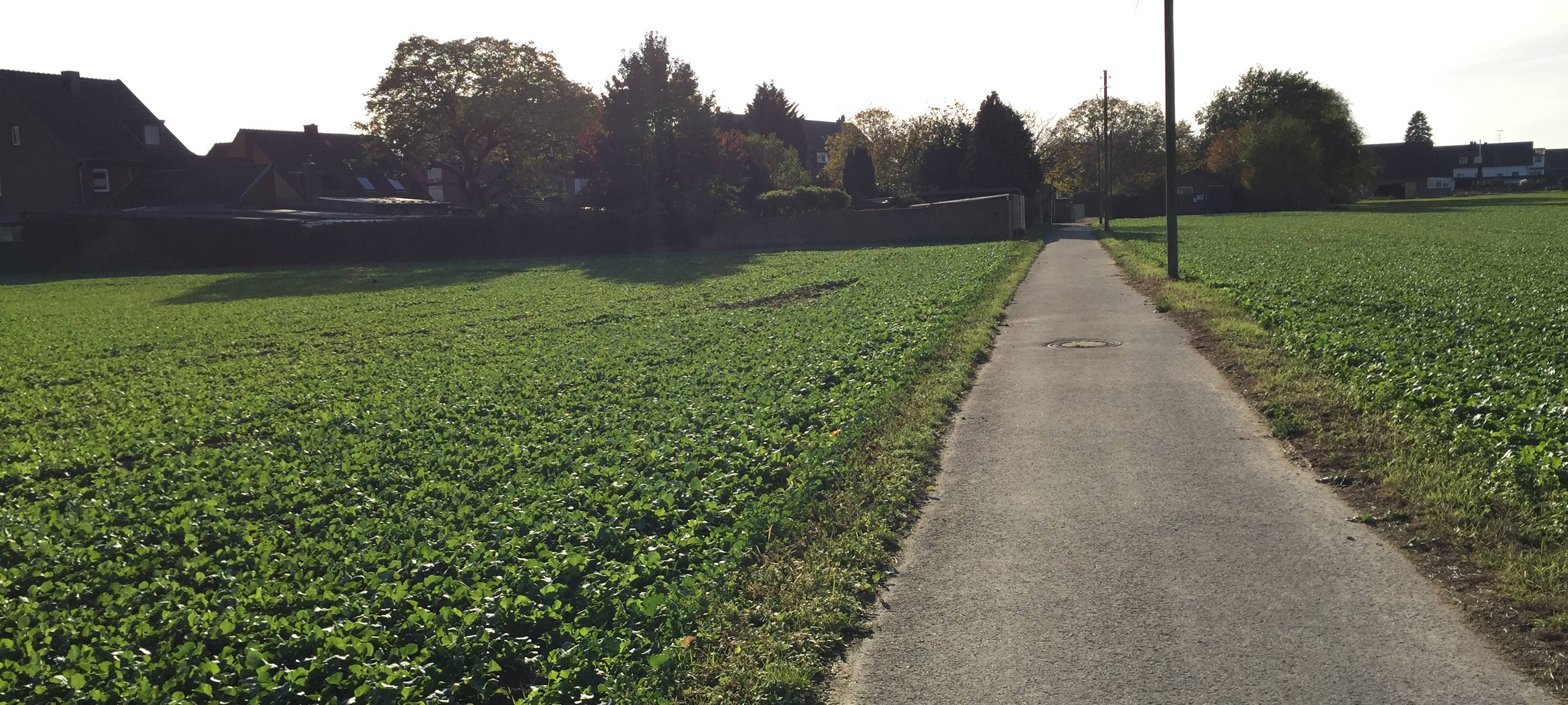 Stadt will Radwege und Nahverkehr in Außenbezirken ausbauen