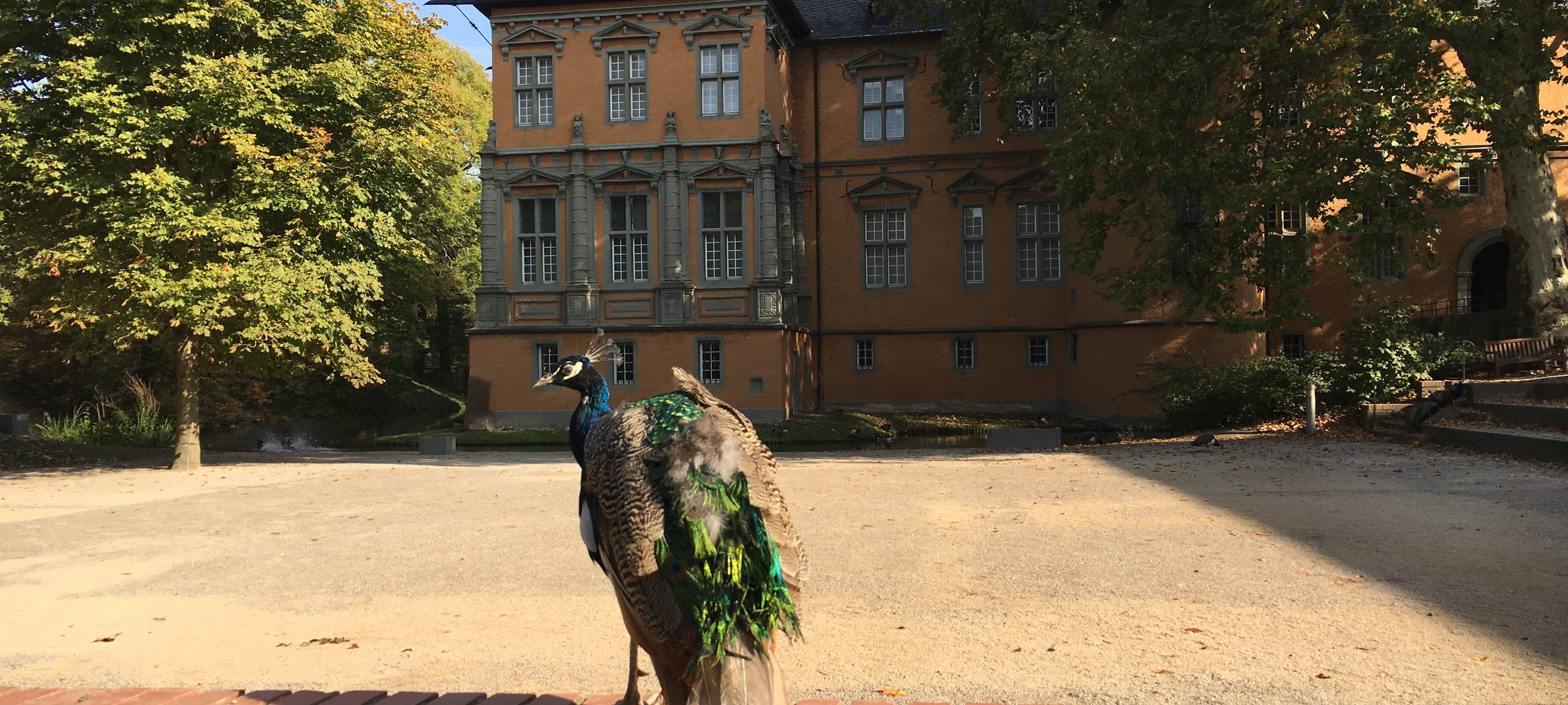Stadttouren weiter beliebt