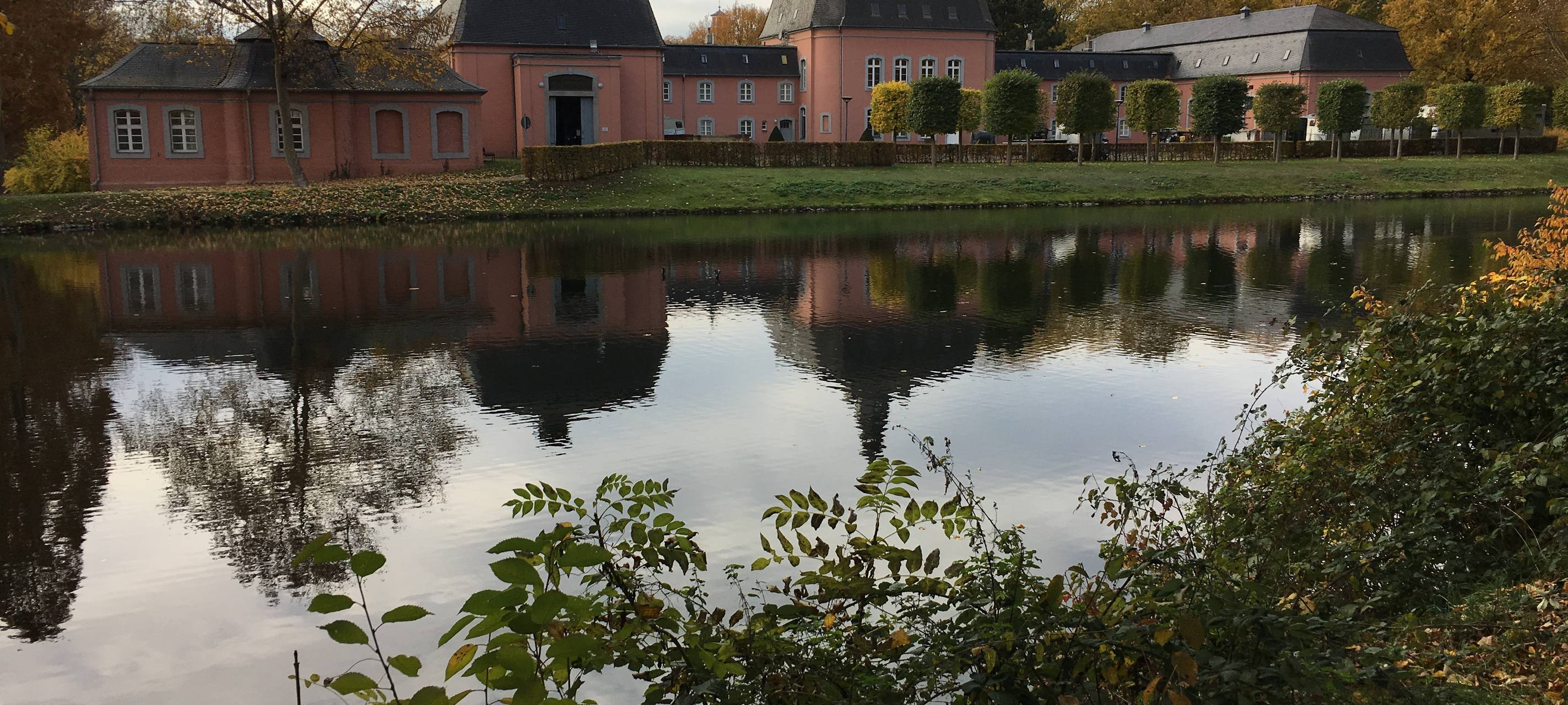 Getötete Gänse am Schloss Wickrath gefunden