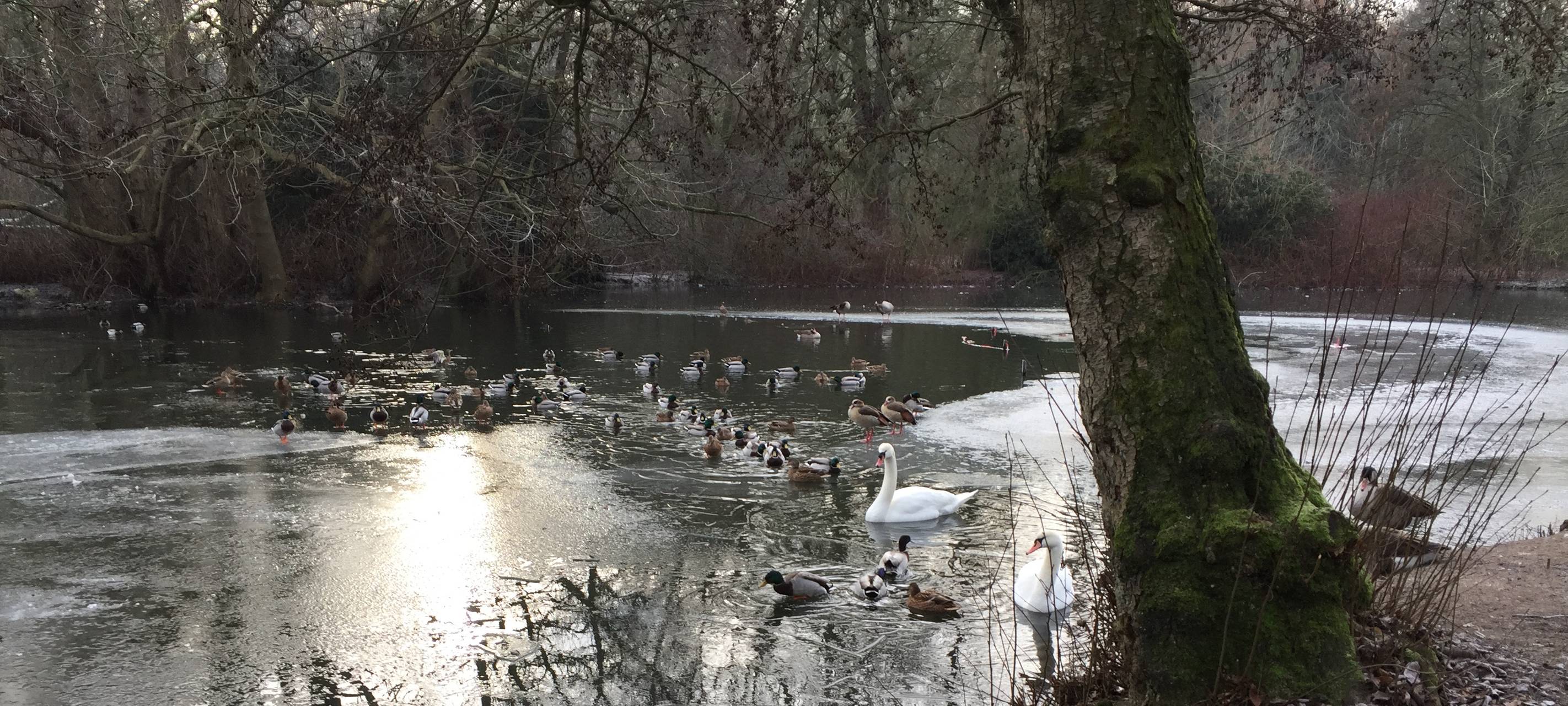 Mönchengladbacher Eisflächen nicht betreten