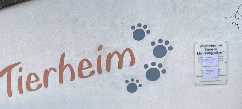 Tierheim in Mönchengladbach unterstützt Hundeführerschein