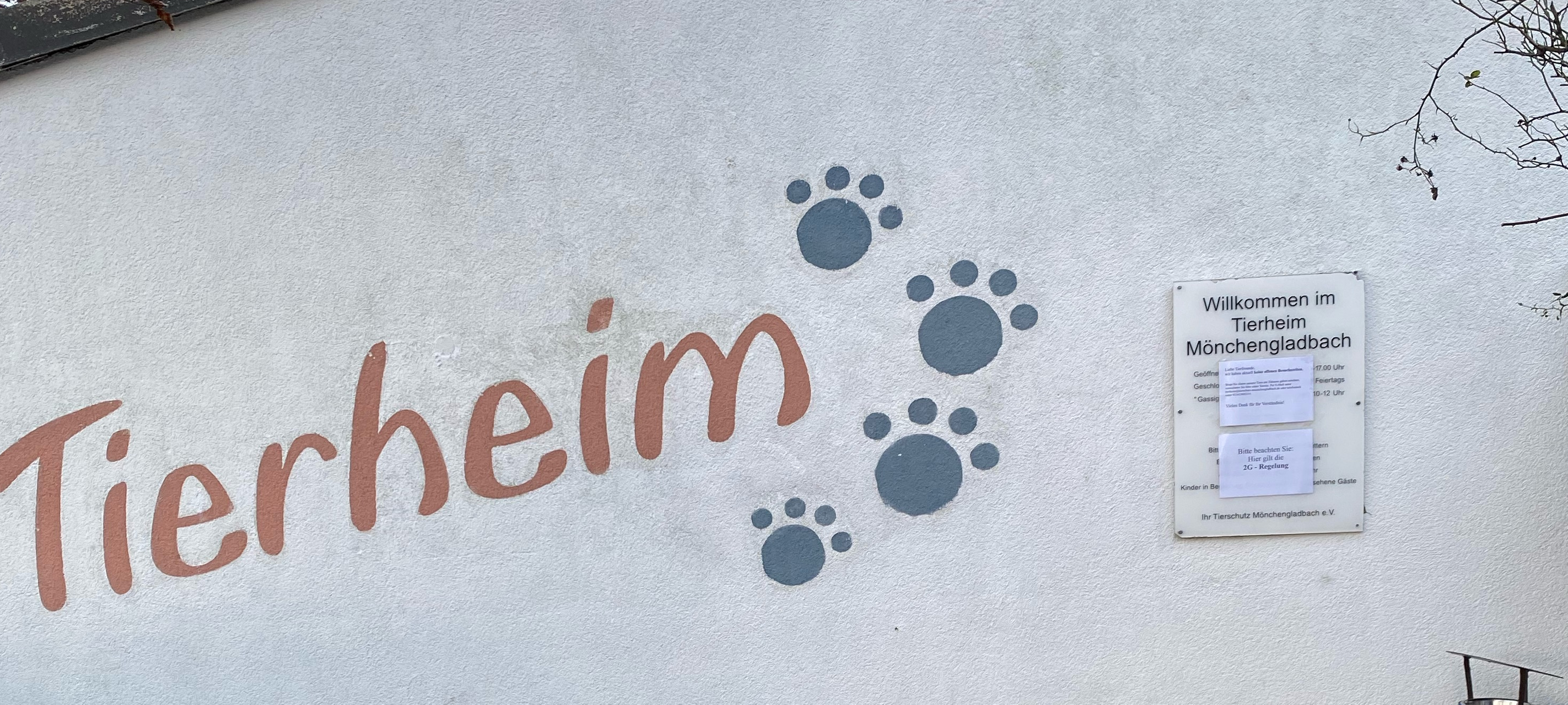 Tierheim in Mönchengladbach soll mehr Platz kriegen